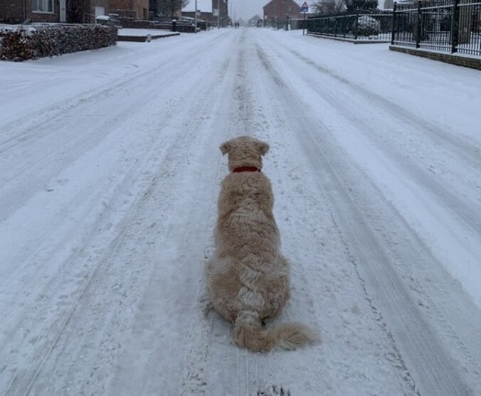 Sneeuw in Rummen.