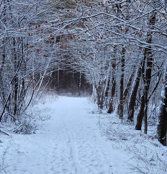 Mooie sneeuwtaferelen in Lichtaart.