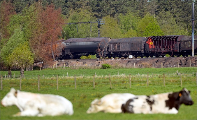 De treinramp in Wetteren, in 2013.