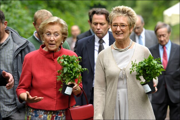 Brussels minister van Leefmilieu Evelyne Huyttebroeck.