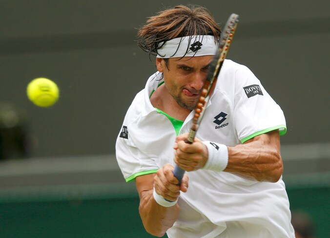 David Ferrer.