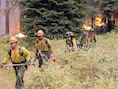 Meer dan een kwart van de schade is te betreuren in het Yosemite Park, dat jaarlijks door miljoenen mensen wordt bezocht.
