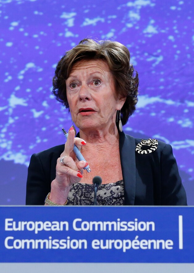 Neelie Kroes.