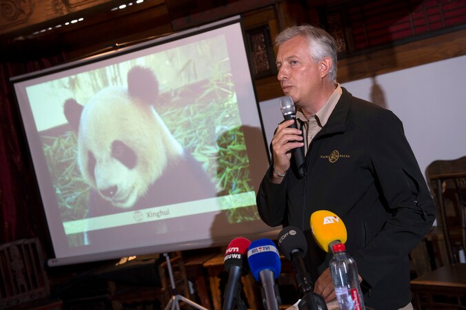 Eric Domb van Pairi Daiza.