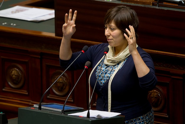 Meyrem Almaci (Groen).
