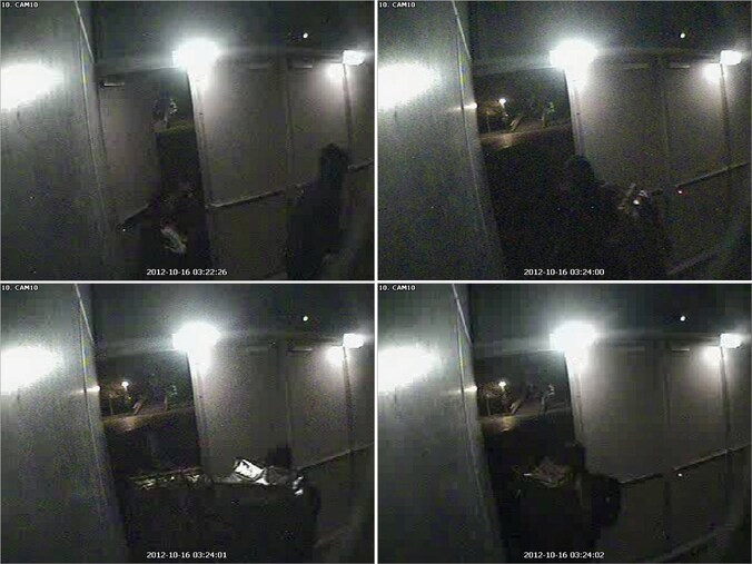 De politie heeft de camerabeelden van de kunstroof vrijgegeven in de hoop zo tips binnen te krijgen.