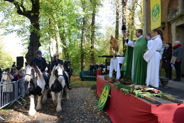 Wat te doen dit weekend in Brussel, de Rand en het Pajottenland? Van ...