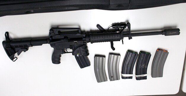 De verkoop van het semi-automatische Bushmaster-wapen dat de schutter in Connecticut gebruikte, ging massaal over de toonbank na de tragedie.