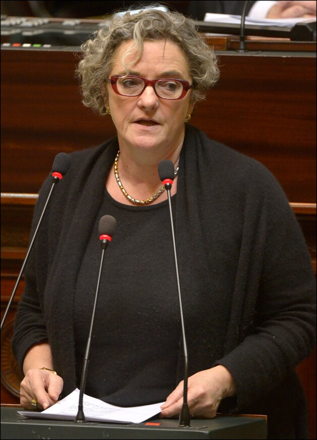 Minister van Werk Monica De Coninck pleit voor de oprichting van een 'taskforce'.