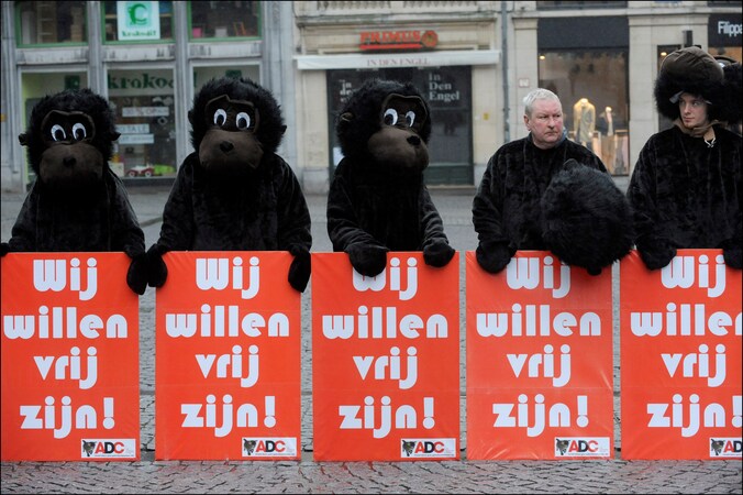 Archiefbeeld van eerder protest door ADC tegen de dierenproeven.