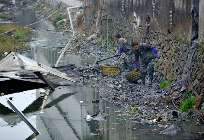 De directeur van de lokale milieudienst krijgt 24.000 euro voor een duik in deze rivier.