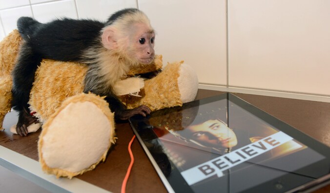 Mally verblijft nog altijd in het opvangcentrum voor dieren in München.