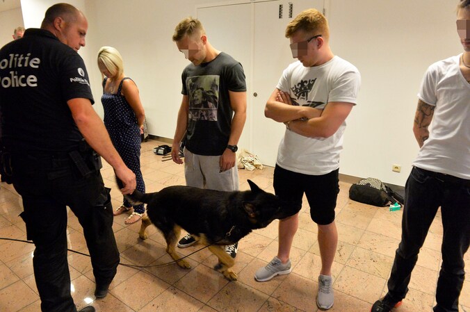 Drugshonden besnuffelen festivalgangers van Tomorrowland nadat ze door de politie op Zaventem op een rij zijn gezet.