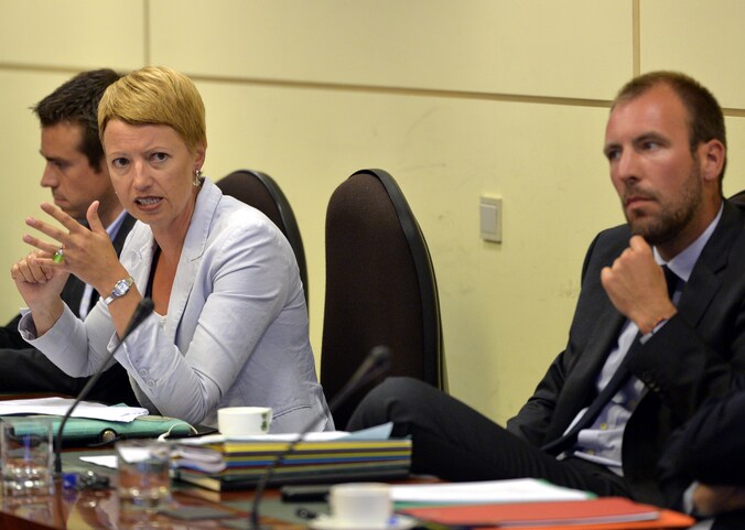 Staatssecretaris Fonck.