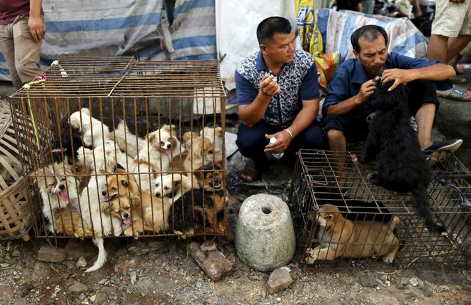 Straatverkopers wachten op klanten tijdens het hondenfestival in de stad Yulin, in de regio Guagnxi Zhuang. Chine lijkt verdeeld tussen dierenliefhebbers en mensen die honden als een bedreiging zien of ze opeten.