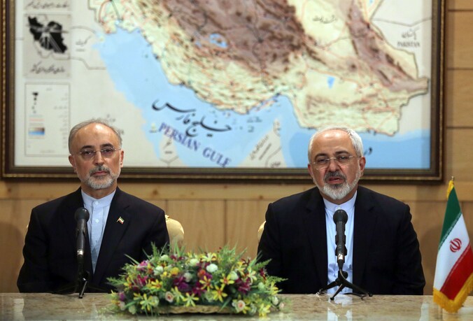 Iranian Foreign Minister Mohammad Javad Zarif (R) and the head of Iran's Atomic Energy Organization Ali Akbar Salehi (L)