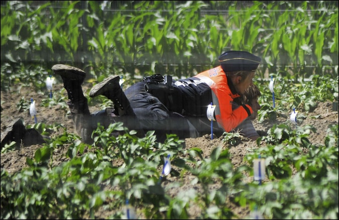 Op 29 mei 2011 voerden ruim 250 milieu-activistenen actie op een veld met genetisch gewijzigde aardappelplantjes in Wetteren.