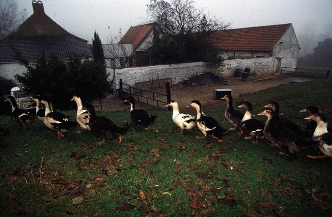 De hoeve van Upigny in 1998.