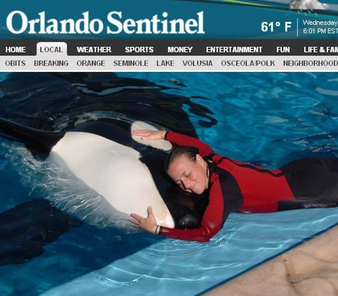 De ervaren trainster Dawn Brancheau werd gedood door de orka.