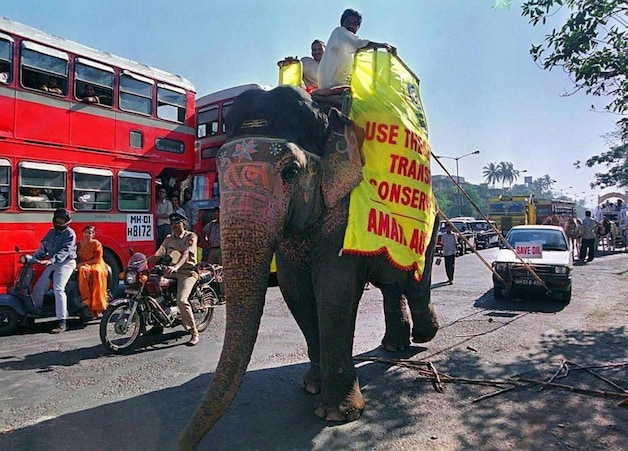 Een olifant trekt een auto in een processie waarin gepleit wordt voor minder gebruik van brandstof.
