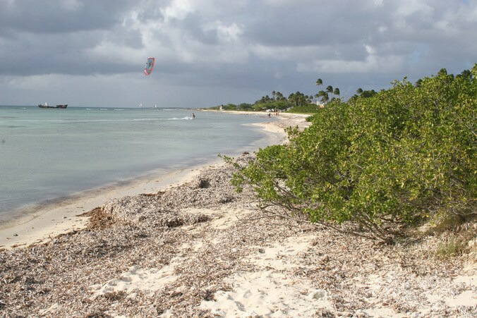 De kust van Aruba.