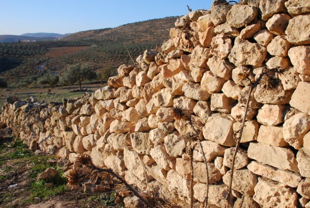 De moorden vonden plaats in een kolonie nabij Nablus.