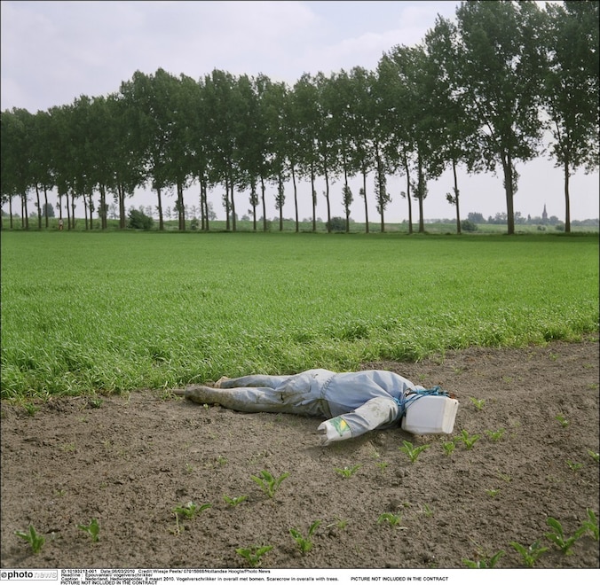 De Hedwigepolder in Nederland.