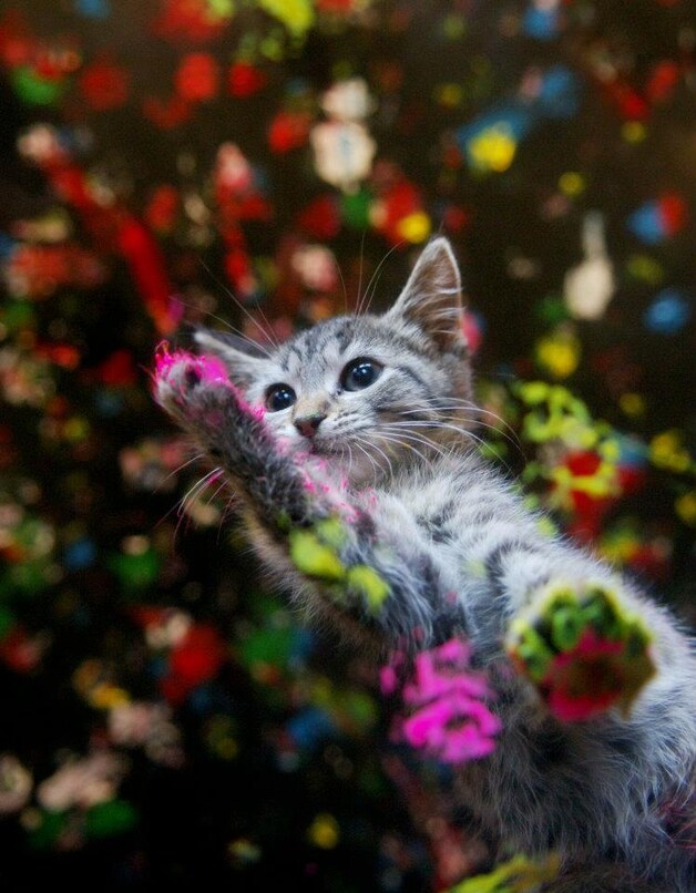 © Brad Newman 2012