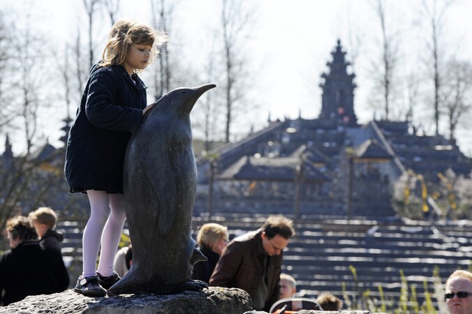 In Pairi Daiza kan het aftellen naar de komst van de panda's beginnen.