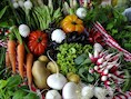 Steeds meer Duitsers willen biologische landbouwproducten