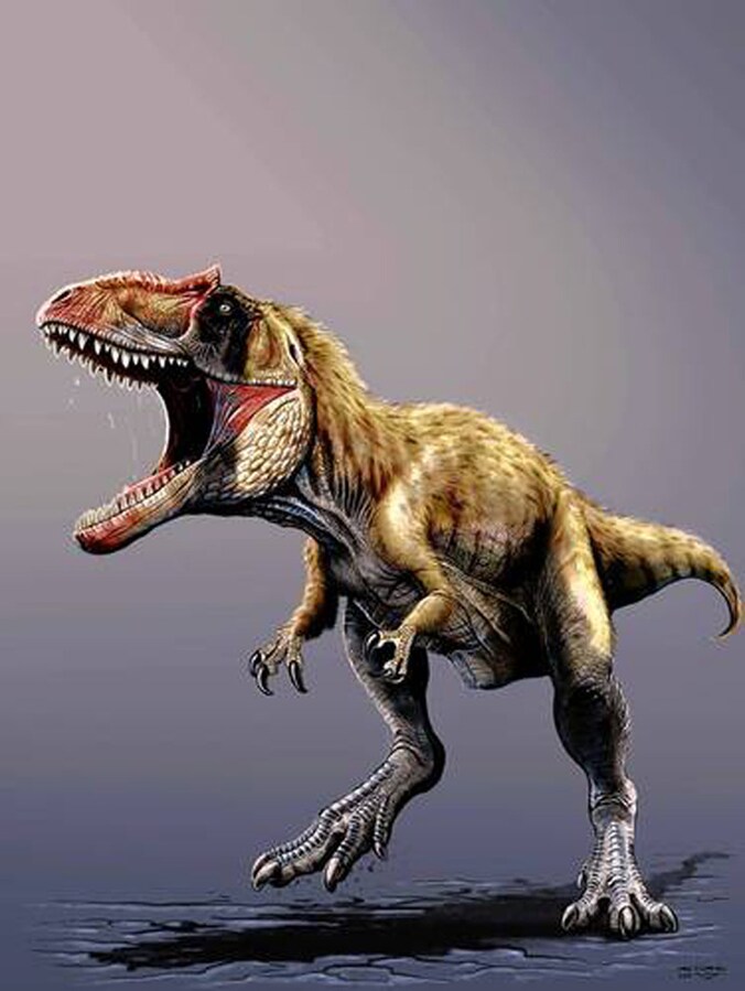 Siat Meekerorum