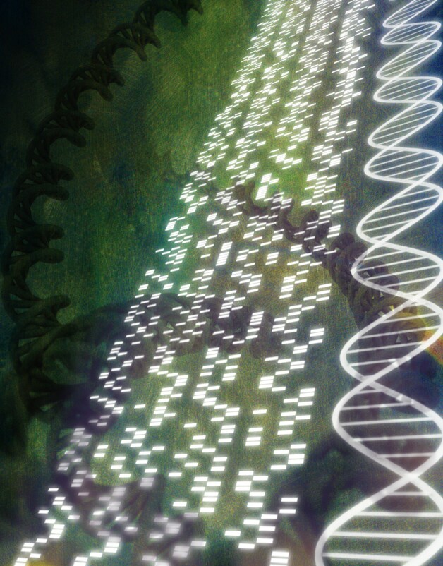 DNA-sequentie.