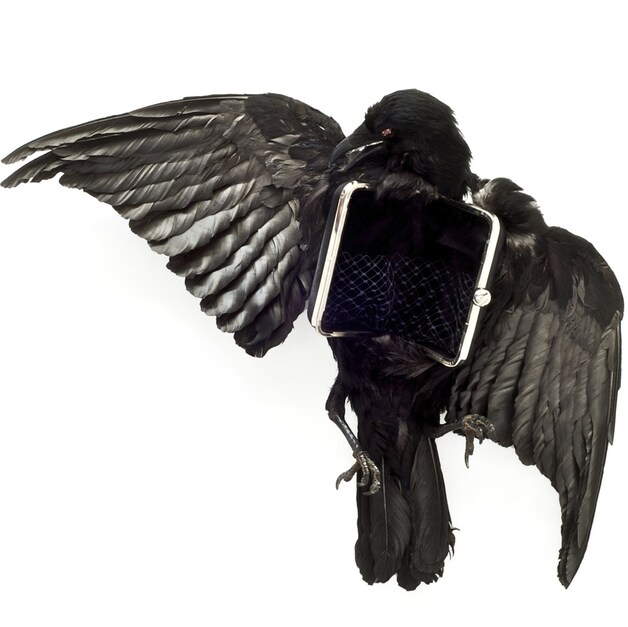 'Crow Clutch '