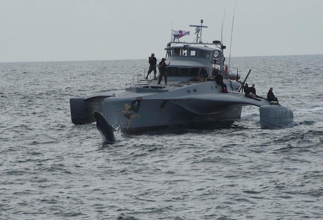 Sea Shepherd noemde hun interventieschip naar Brigitte Bardot.