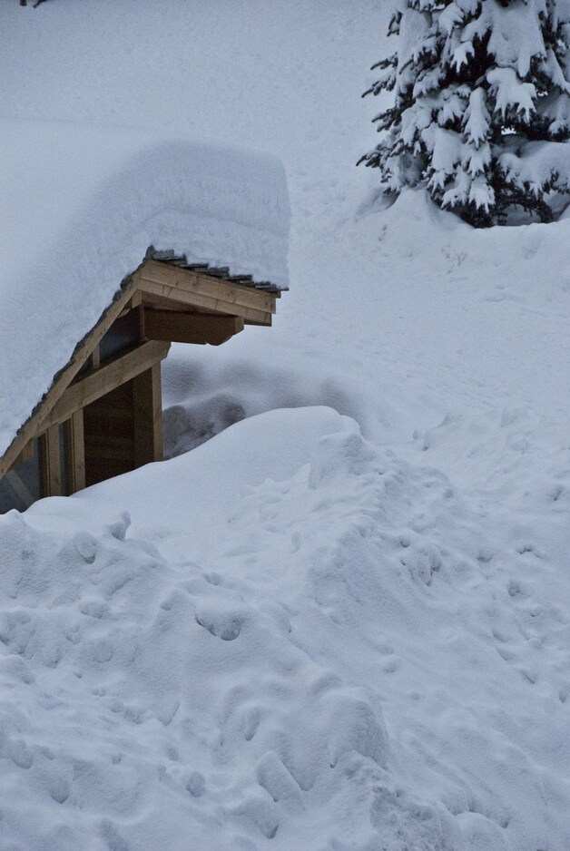 Sneeuw vormt een perfecte isolatie.