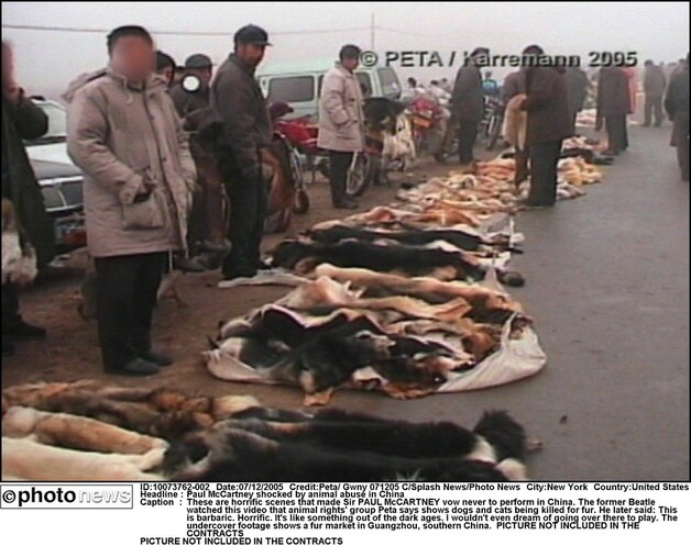 In China worden ook honden en katten geslacht voor hun vacht.