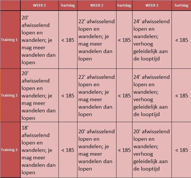Het trainingsschema van de eerste drie weken.