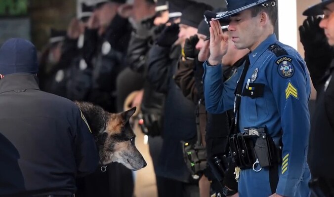 Agenten bewijzen K9-hond Sultan een laatste indrukwekkende eer.