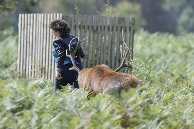 Deze vrouw pakte de schrik van haar leven toen ze opgejaagd werd door het bronstige beest.