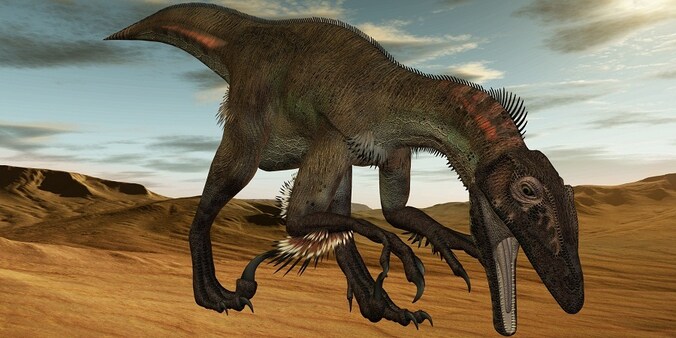 Utahraptor.