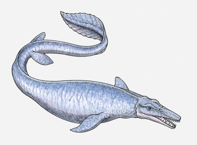 Illustratie mosasaurus