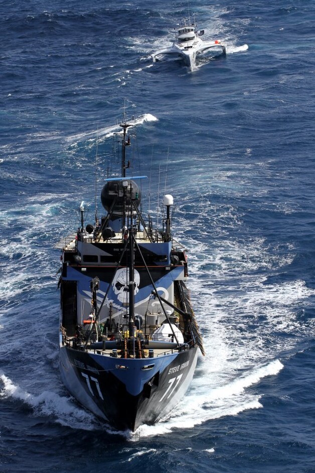 De Steve Irwin met de toegetakelde Brigitte Bardot in zijn kielzog. Foto's Sea Shepherd, HLN.BE