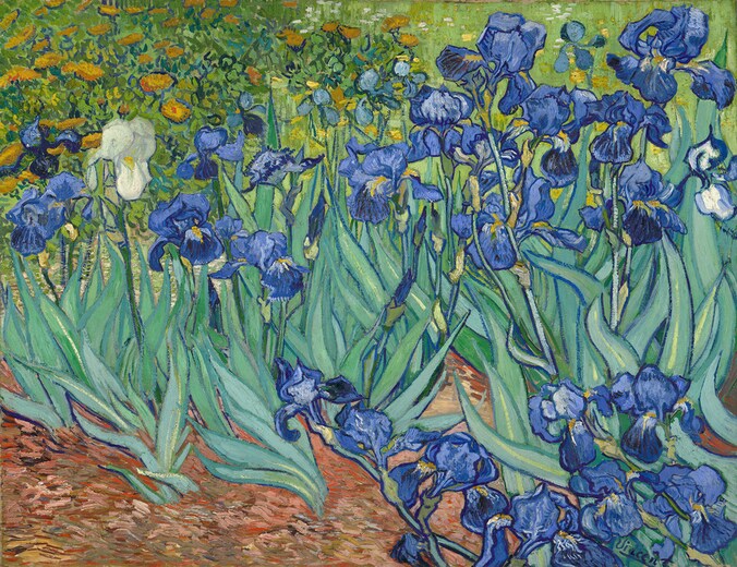 'De Irissen' van Vincent Van Gogh.