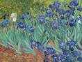'De Irissen' van Vincent Van Gogh.