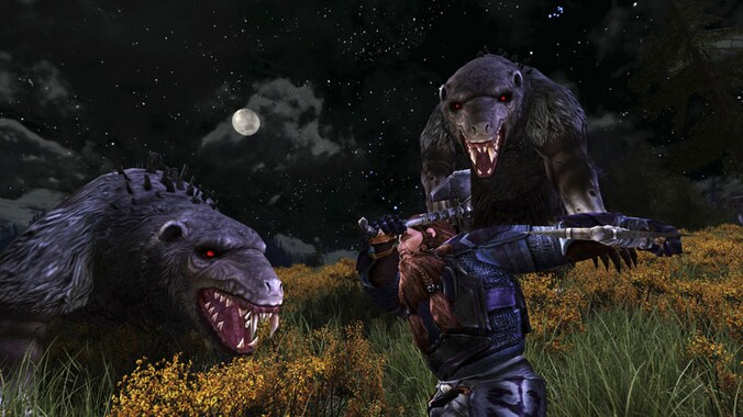 Grafisch is 'LOTRO' oké voor een gratis game, maar ondermaats voor een betalende uitbreiding.