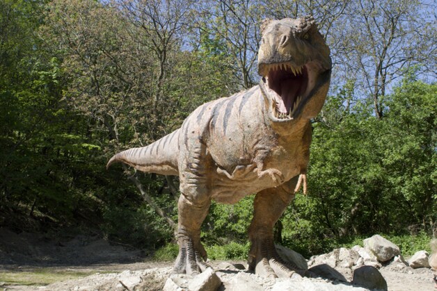 Siat was met zijn grootte en kracht een rivaal van dinosaurus T. Rex