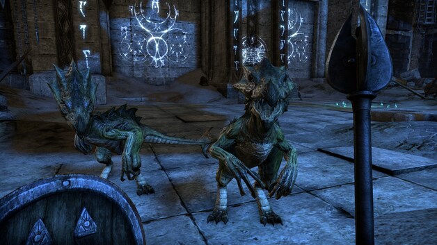 The Elder Scrolls Online