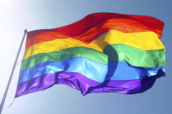 De regenboogvlag.