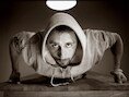 Acteur Matthias Schoenaerts vertolkt de hoofdrol in Rundskop.