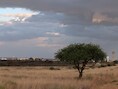 Droogte in Namibië.